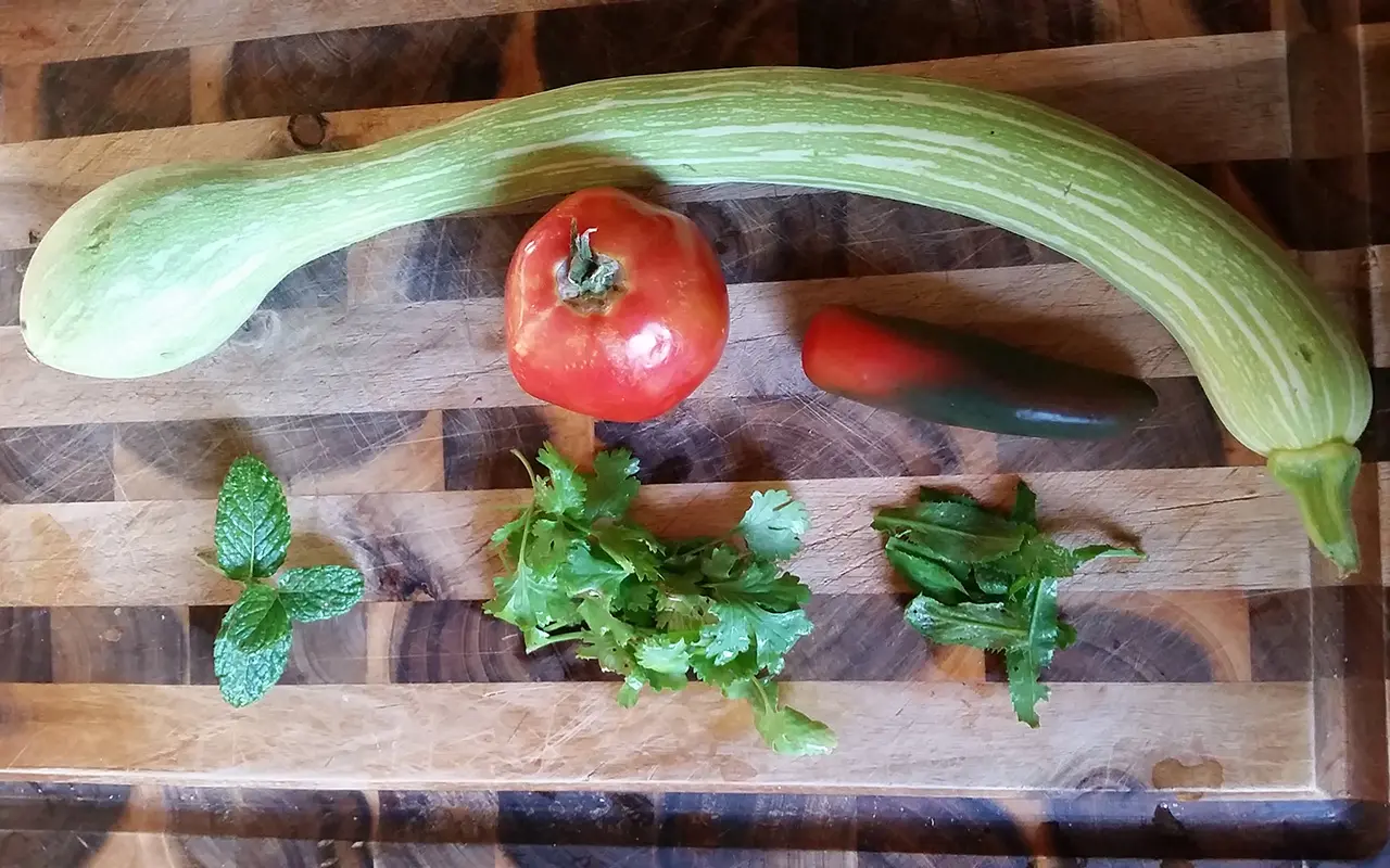 Trombone Squash from Garden